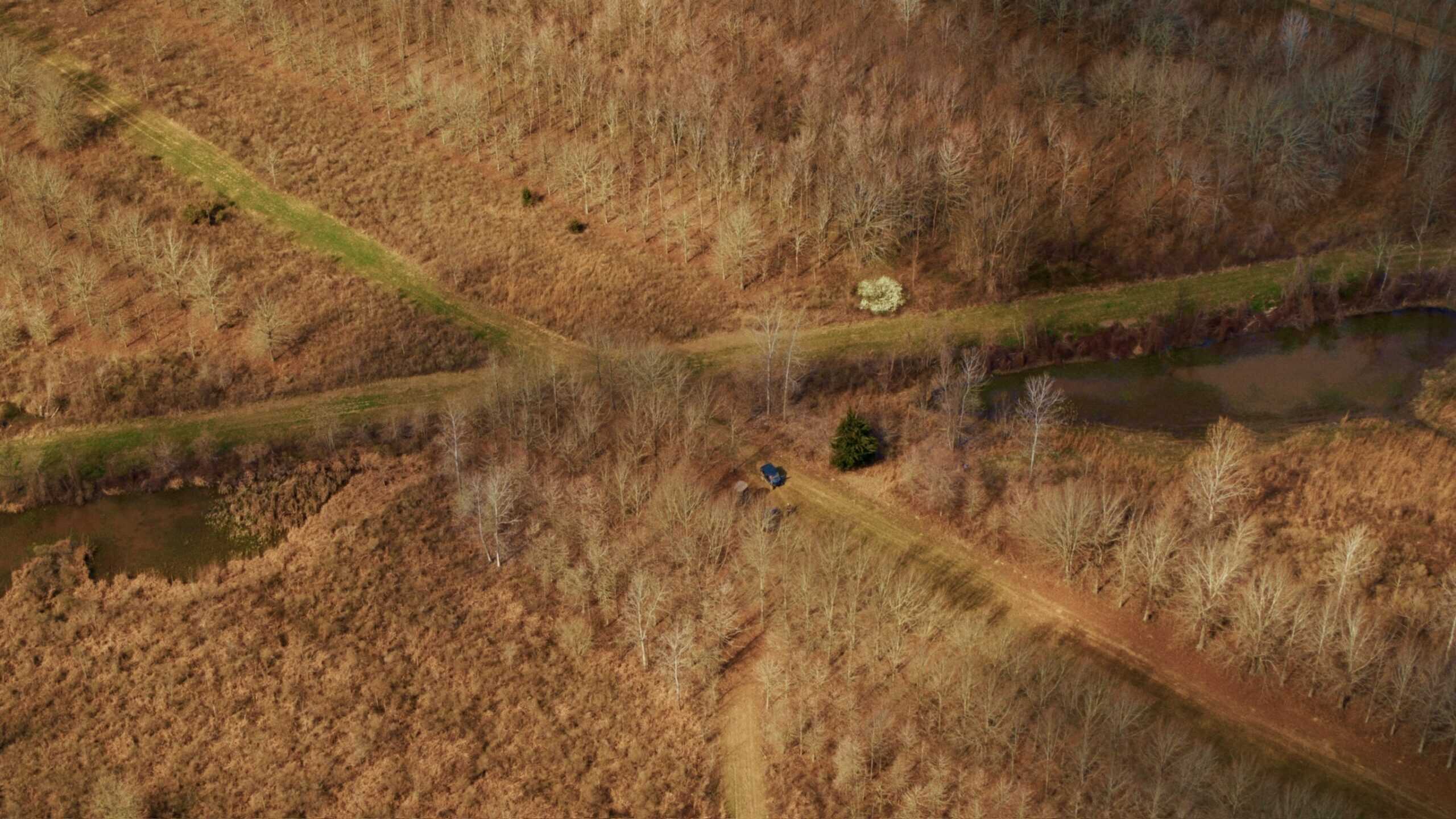 1,196+/- Acre Deer & Duck Hunting Paradise Tensas Parish, LA