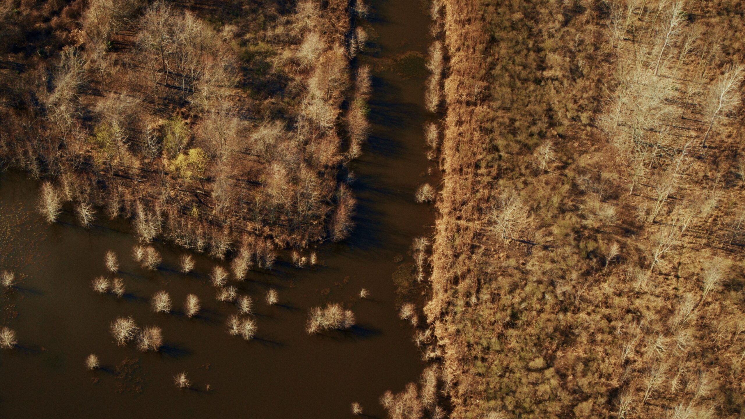 330+/- Acre Deer and Duck Hunting Property with a Camp
