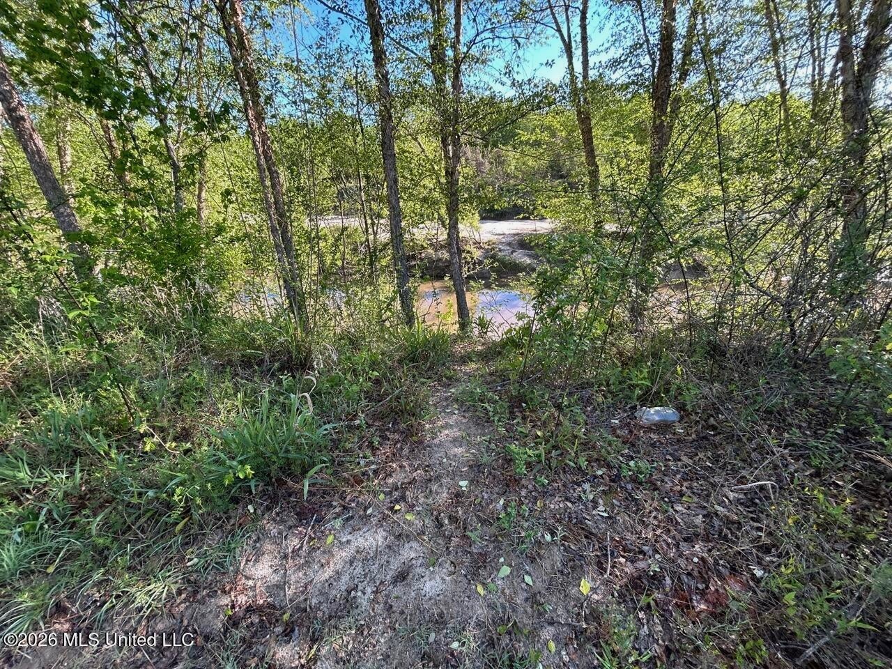 266± Acres Hinds/Copiah Line with Creek and Income