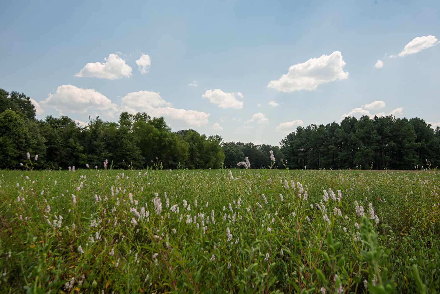 863-Acre Hunting Ranch on the Sabine River near Big Sandy TX