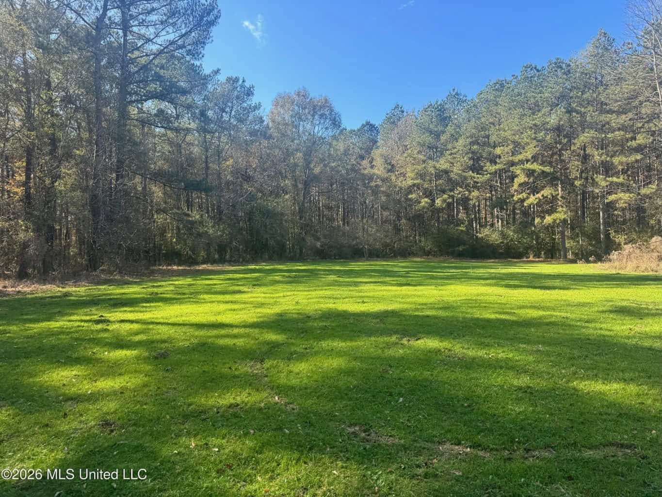 South Mississippi Hunting Land for Sale in Walthall County