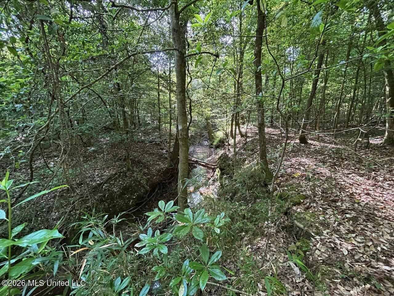 46 Acres in St. Helena Parish, LA Hunting Property for Sale