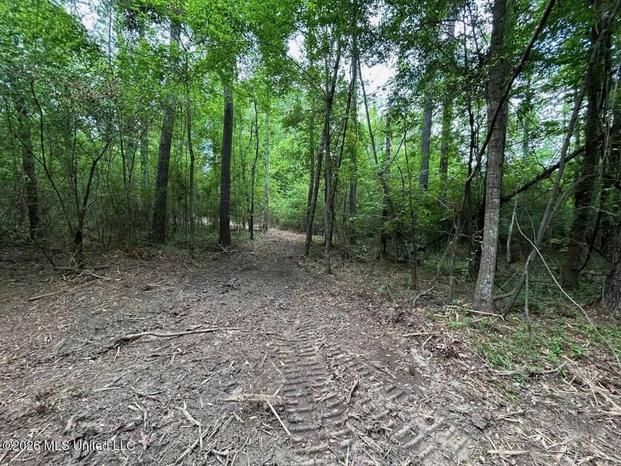 47 Acres in St. Helena Parish, LA with Black Creek