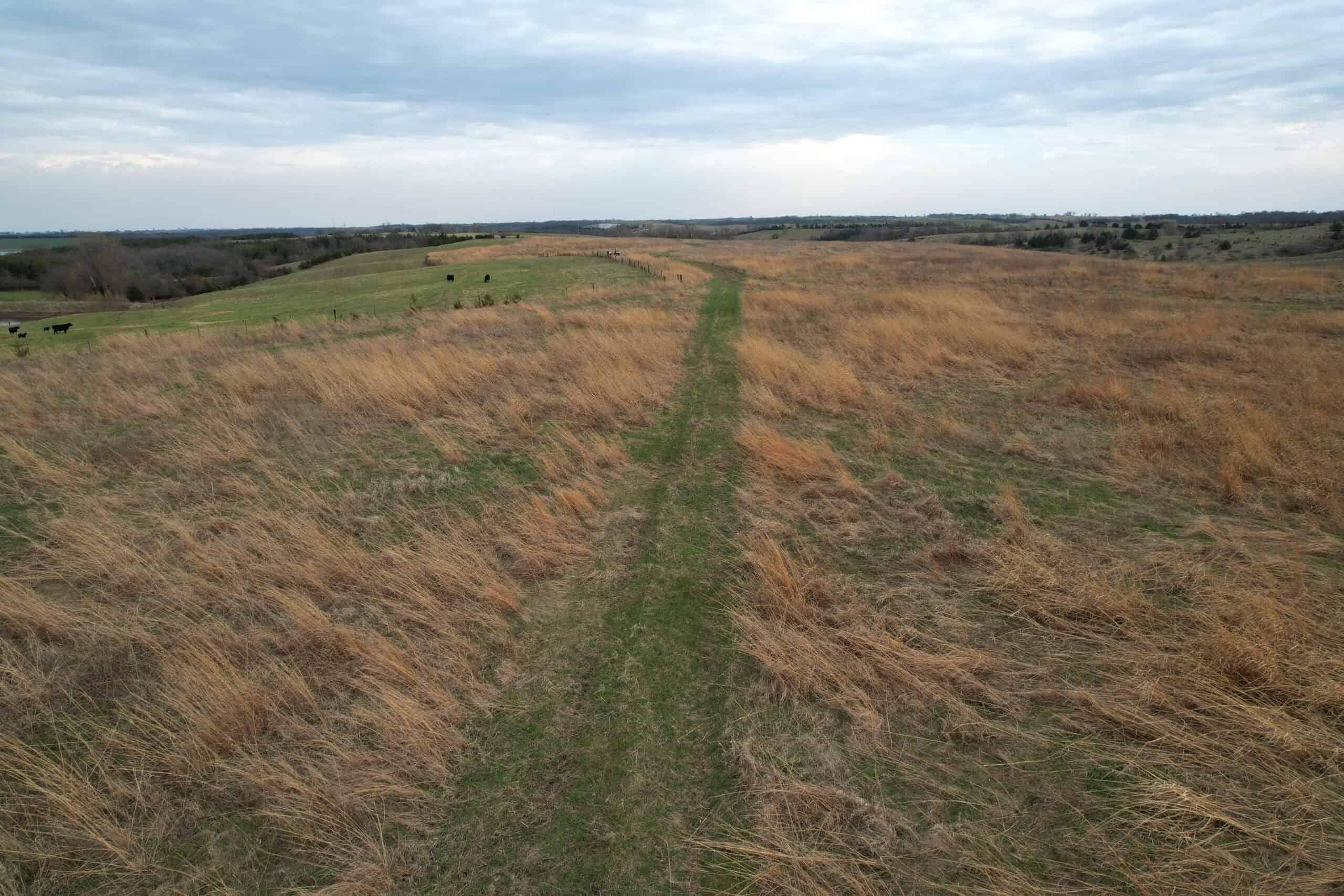 Southwest Iowa Income Producing Combination Farm