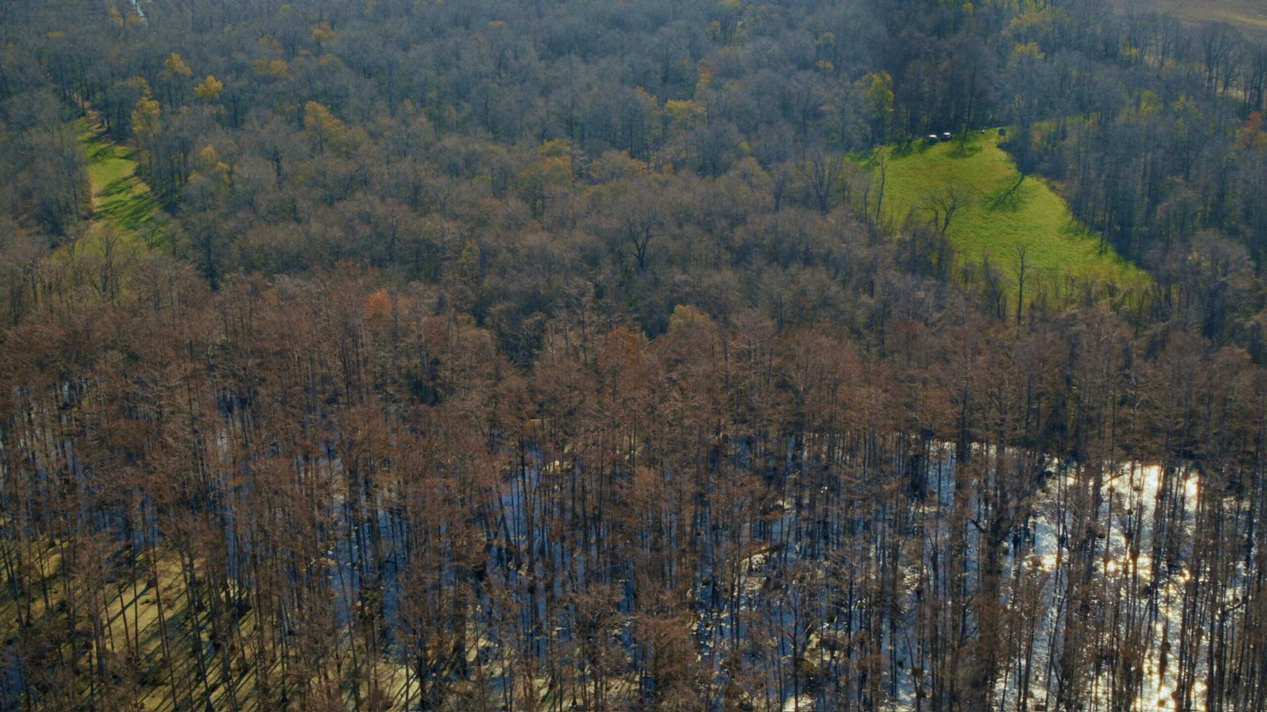 1,196+/- Acre Deer & Duck Hunting Paradise Tensas Parish, LA