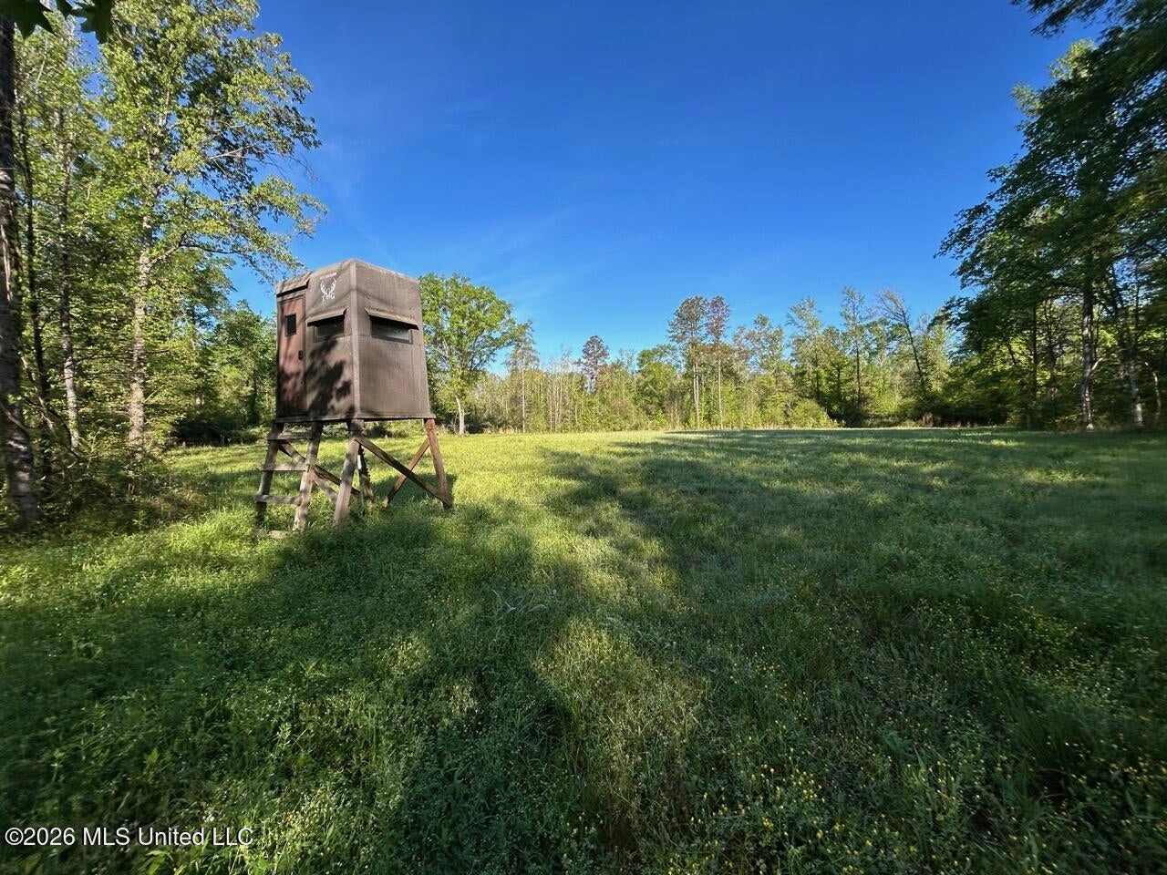 266± Acres Hinds/Copiah Line with Creek and Income