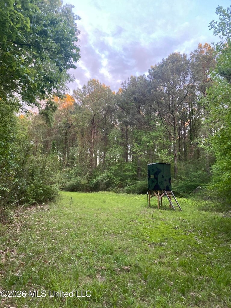 Hunting and Recreational Land for Sale in Amite County, Miss