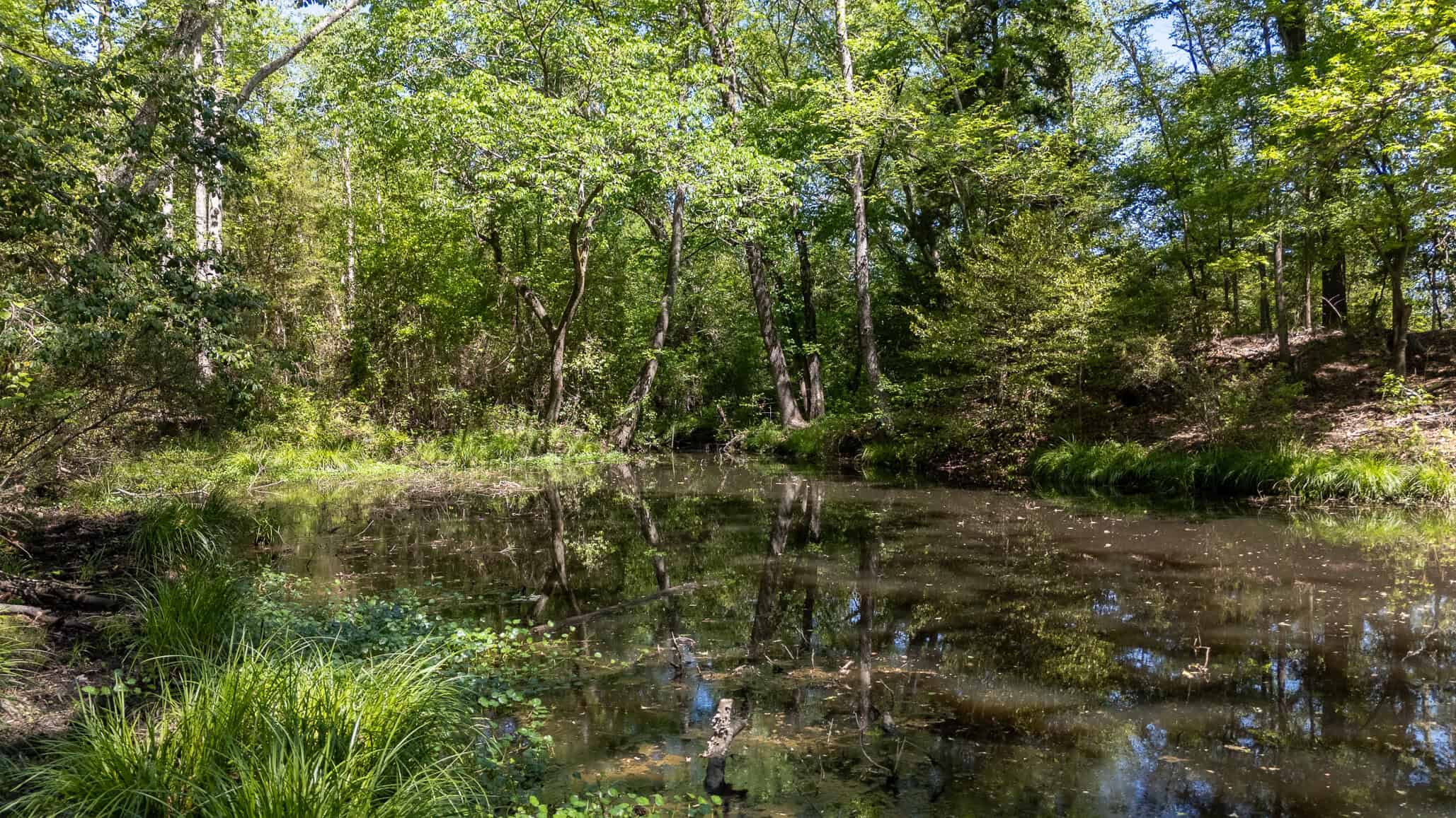 31.74 Acre Recreational Ranch Near Bullard in Smith County TX
