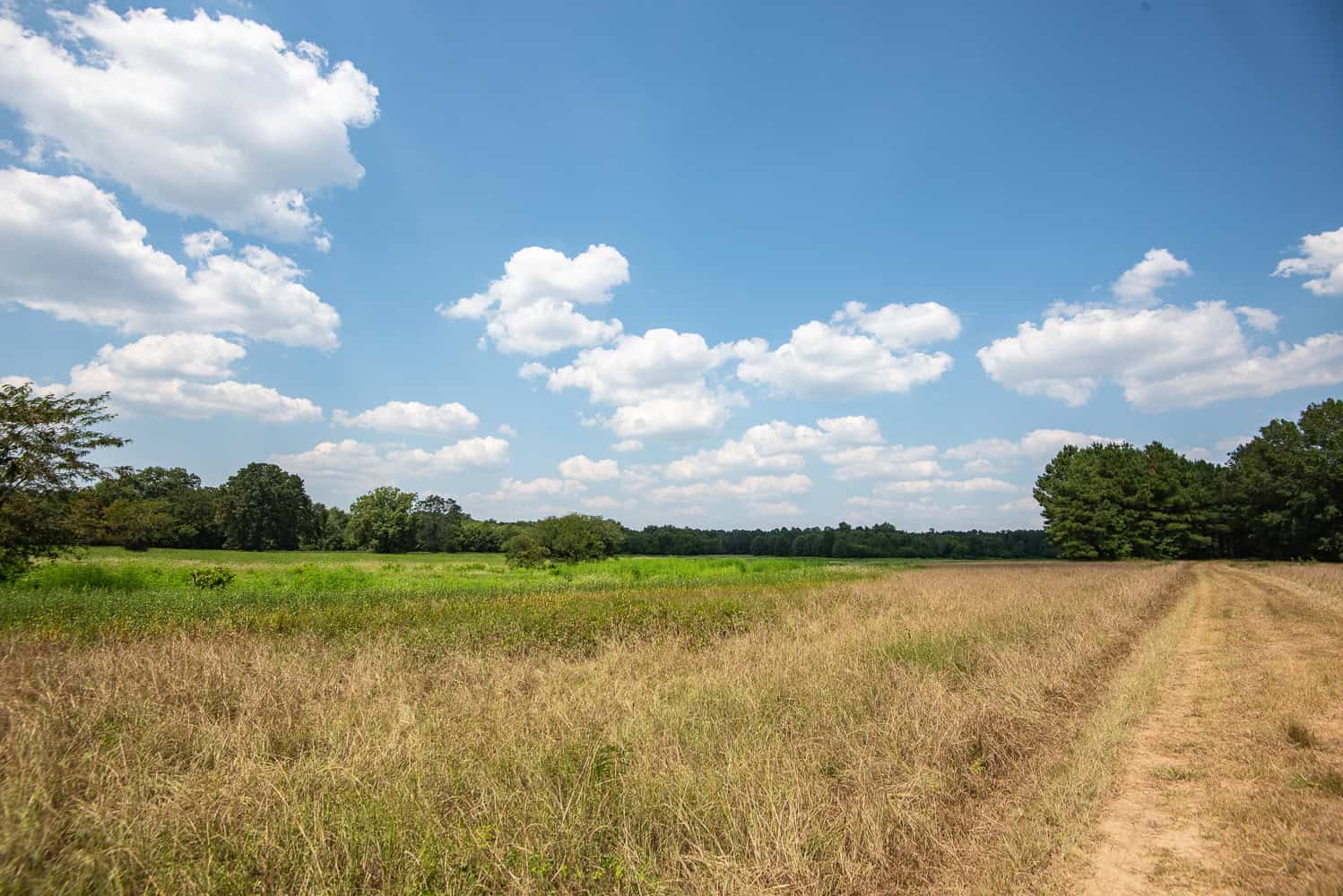 863-Acre Hunting Ranch on the Sabine River near Big Sandy TX