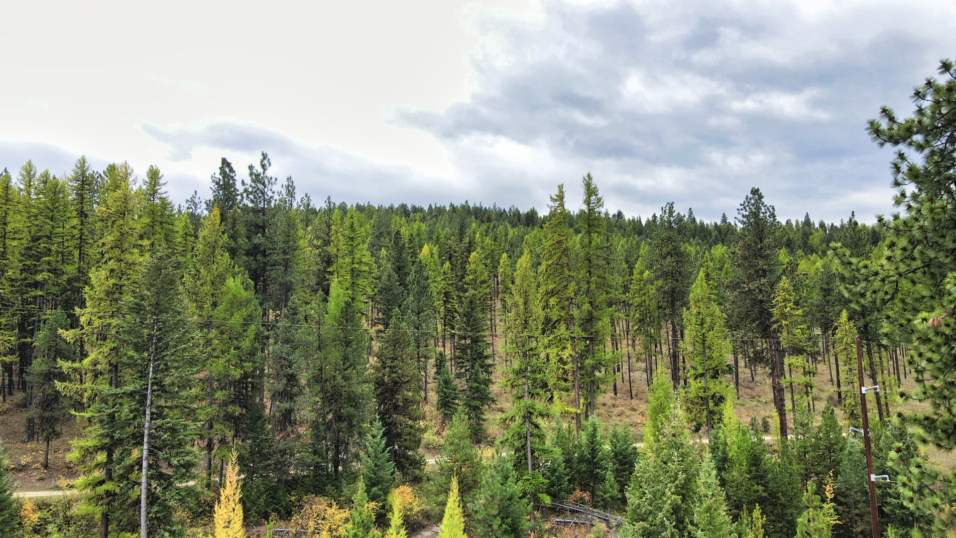 Riverfront Acreage For Sale in St. Regis, Montana