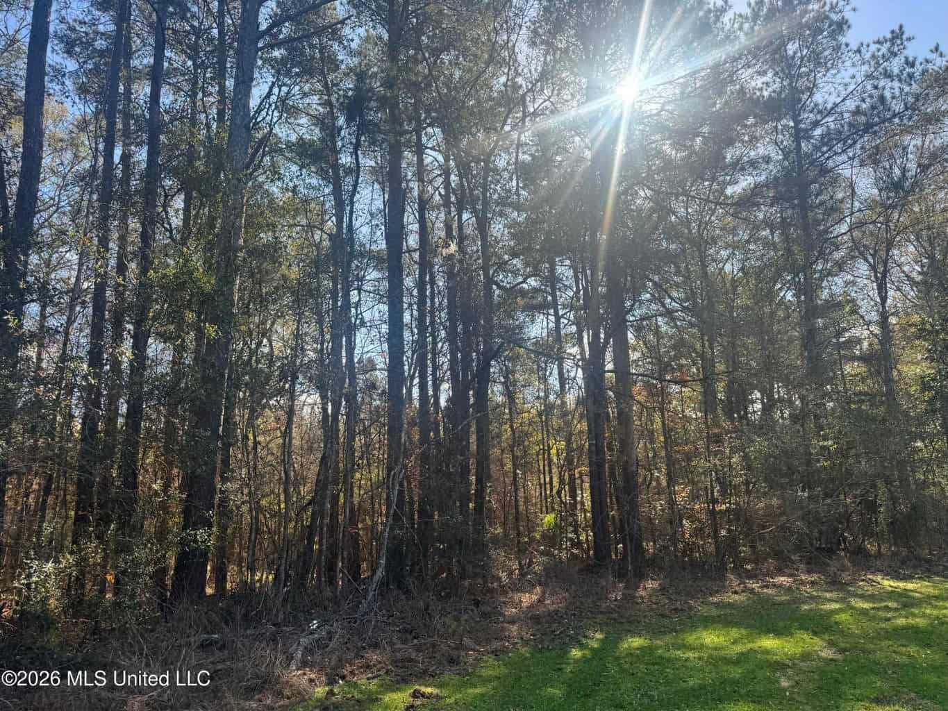 South Mississippi Hunting Land for Sale in Walthall County
