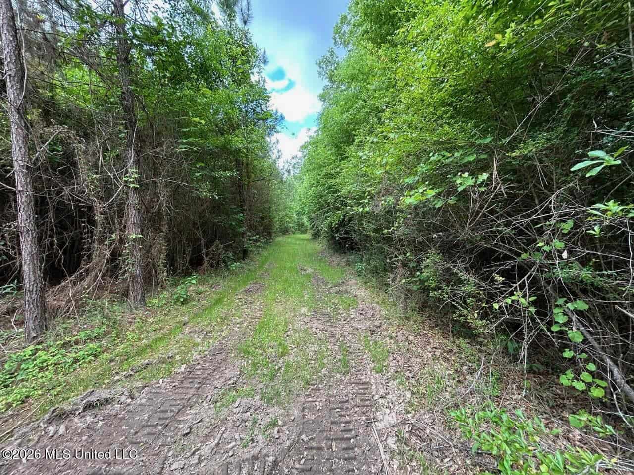 47 Acres in St. Helena Parish, LA with Black Creek