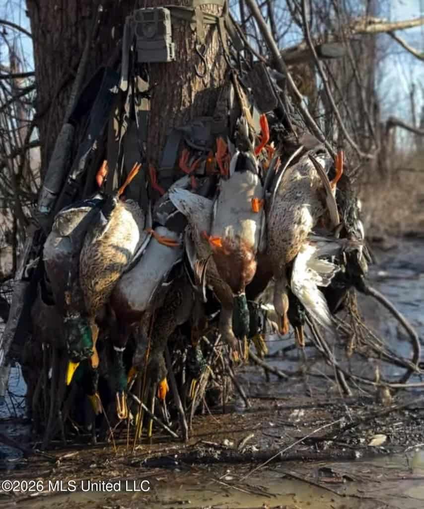 Duckport Legacy Waterfowl and Whitetail Recreational Tract