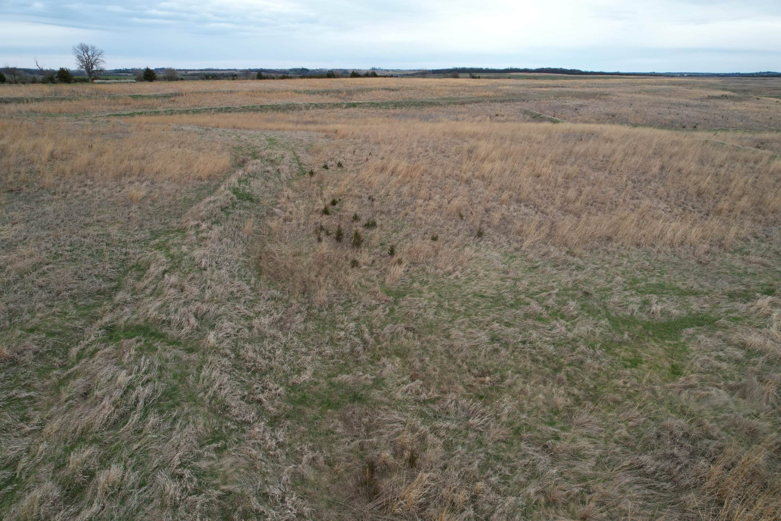 Southwest Iowa Recreational CRP Farm