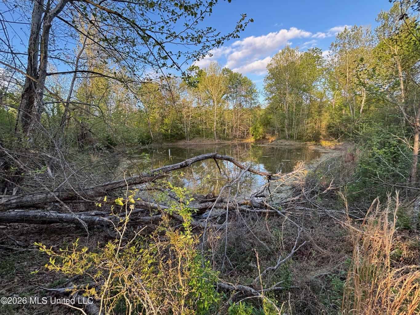 77 Acres in Edwards, MS Hinds County Big Black River Region