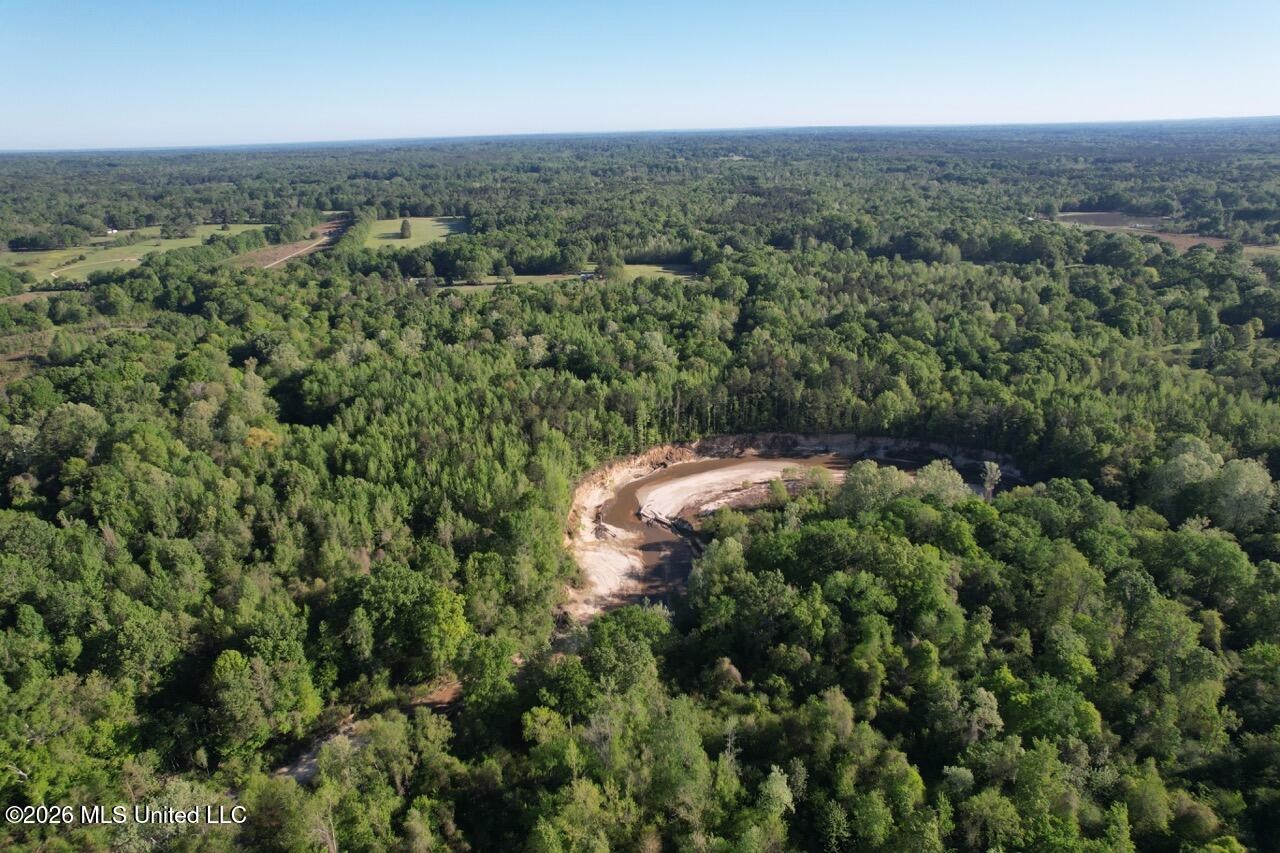 266± Acres Hinds/Copiah Line with Creek and Income
