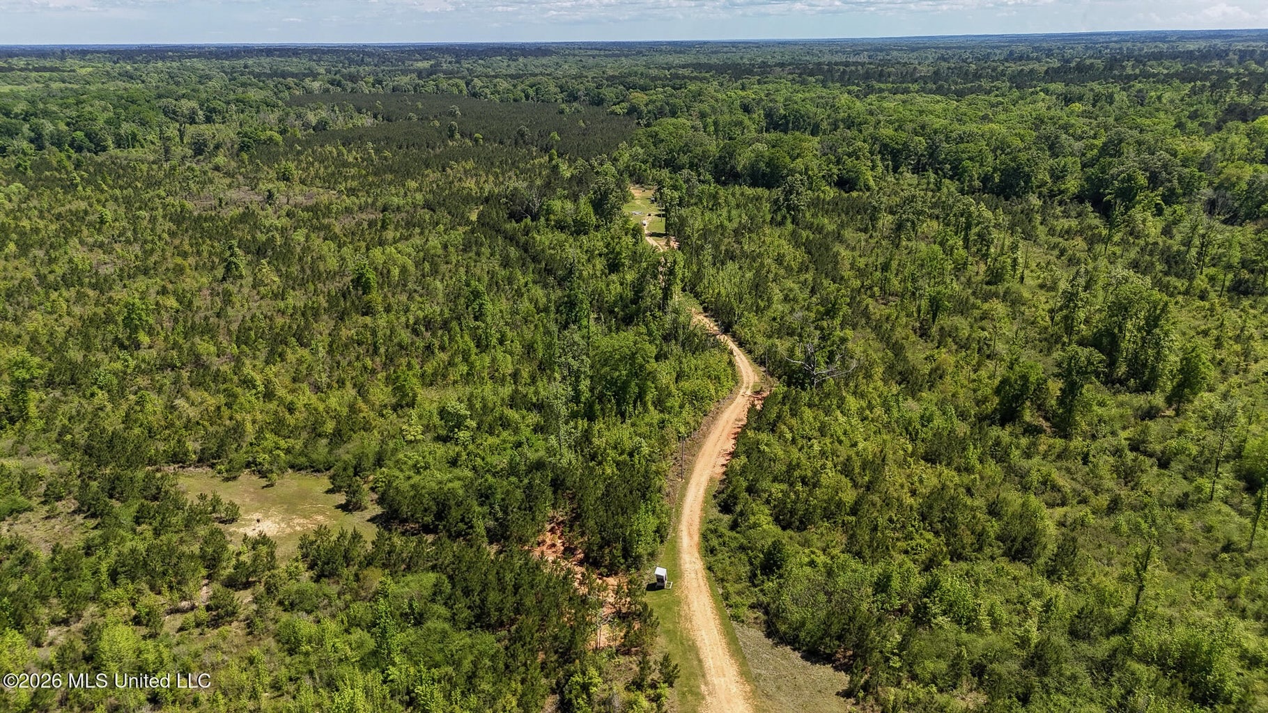 Hunting and Recreational Land for Sale in Amite County, Miss