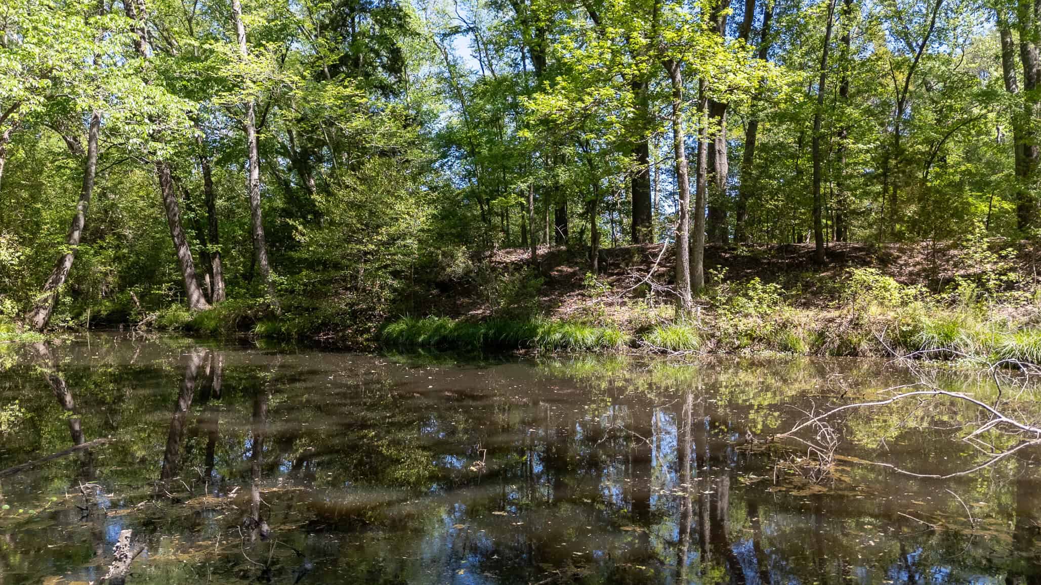 31.74 Acre Recreational Ranch Near Bullard in Smith County TX