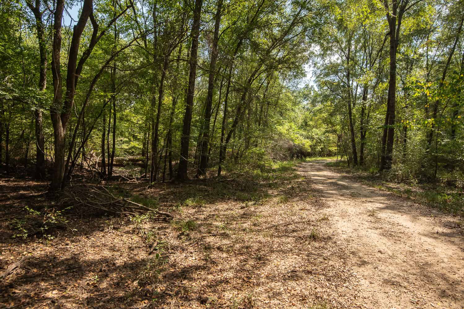 863-Acre Hunting Ranch on the Sabine River near Big Sandy TX