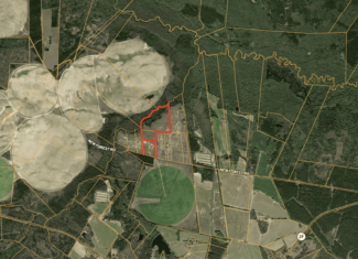 36-acre tract with multiple access points & natural features on New Forrest