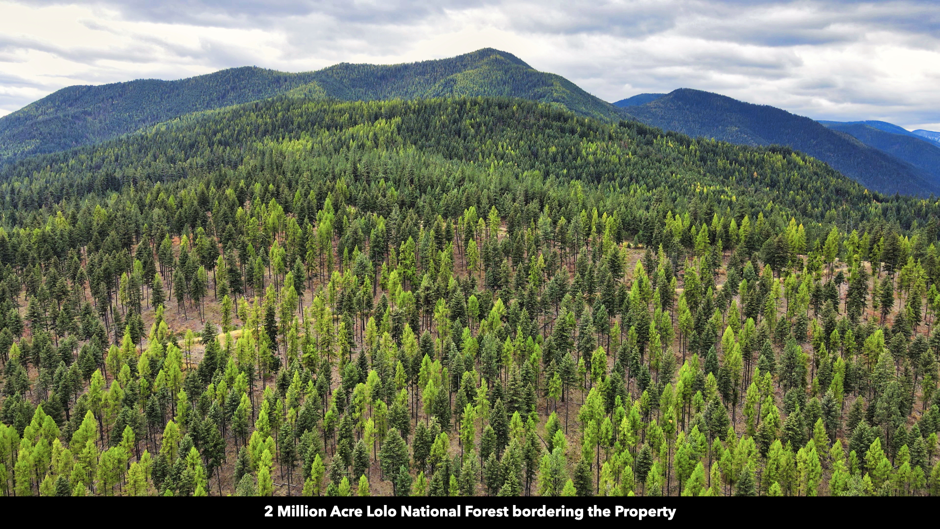 Riverfront Acreage For Sale in St. Regis, Montana