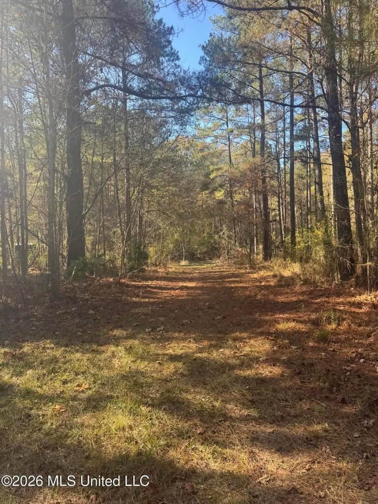 South Mississippi Hunting Land for Sale in Walthall County