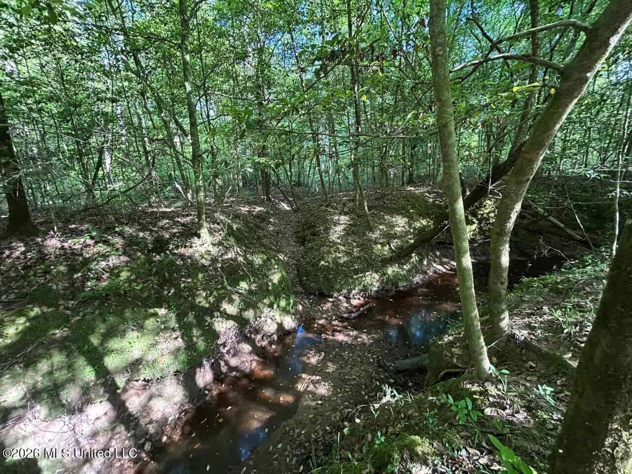 46 Acres in St. Helena Parish, LA Hunting Property for Sale