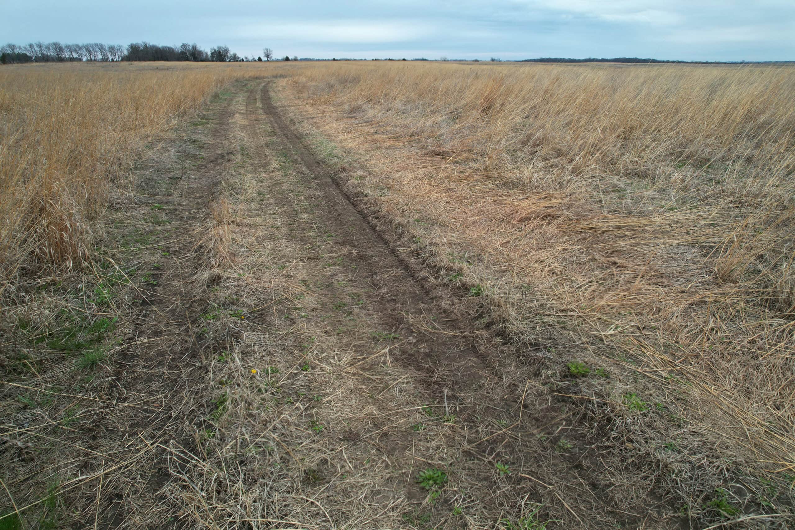 Southwest Iowa Recreational CRP Farm