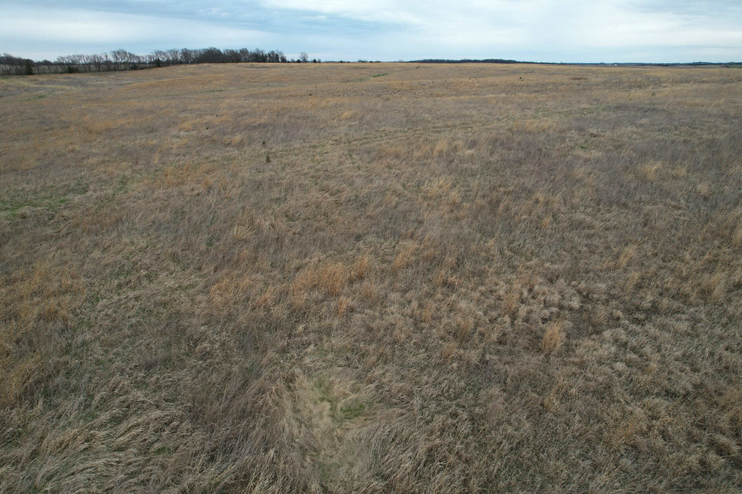 Southwest Iowa Income Producing Combination Farm
