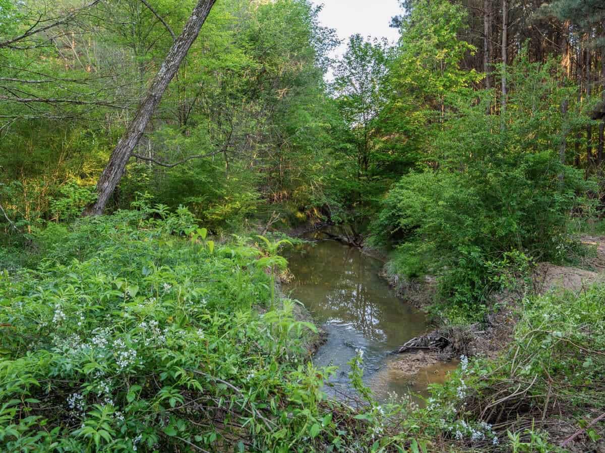 455 Acres Hunting & Income Land in Choctaw County MS