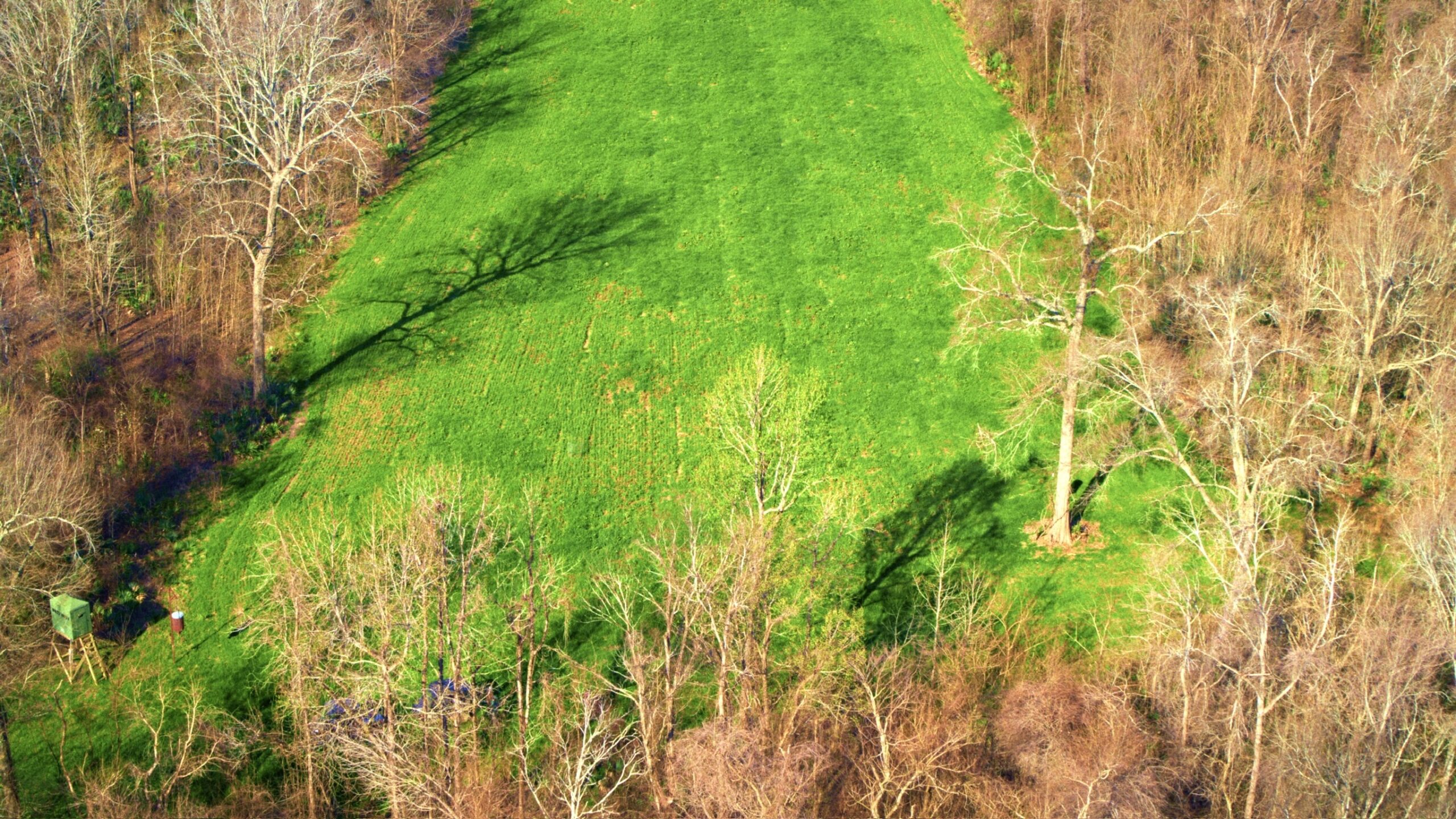 330+/- Acre Deer and Duck Hunting Property with a Camp