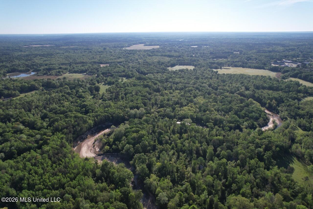 266± Acres Hinds/Copiah Line with Creek and Income