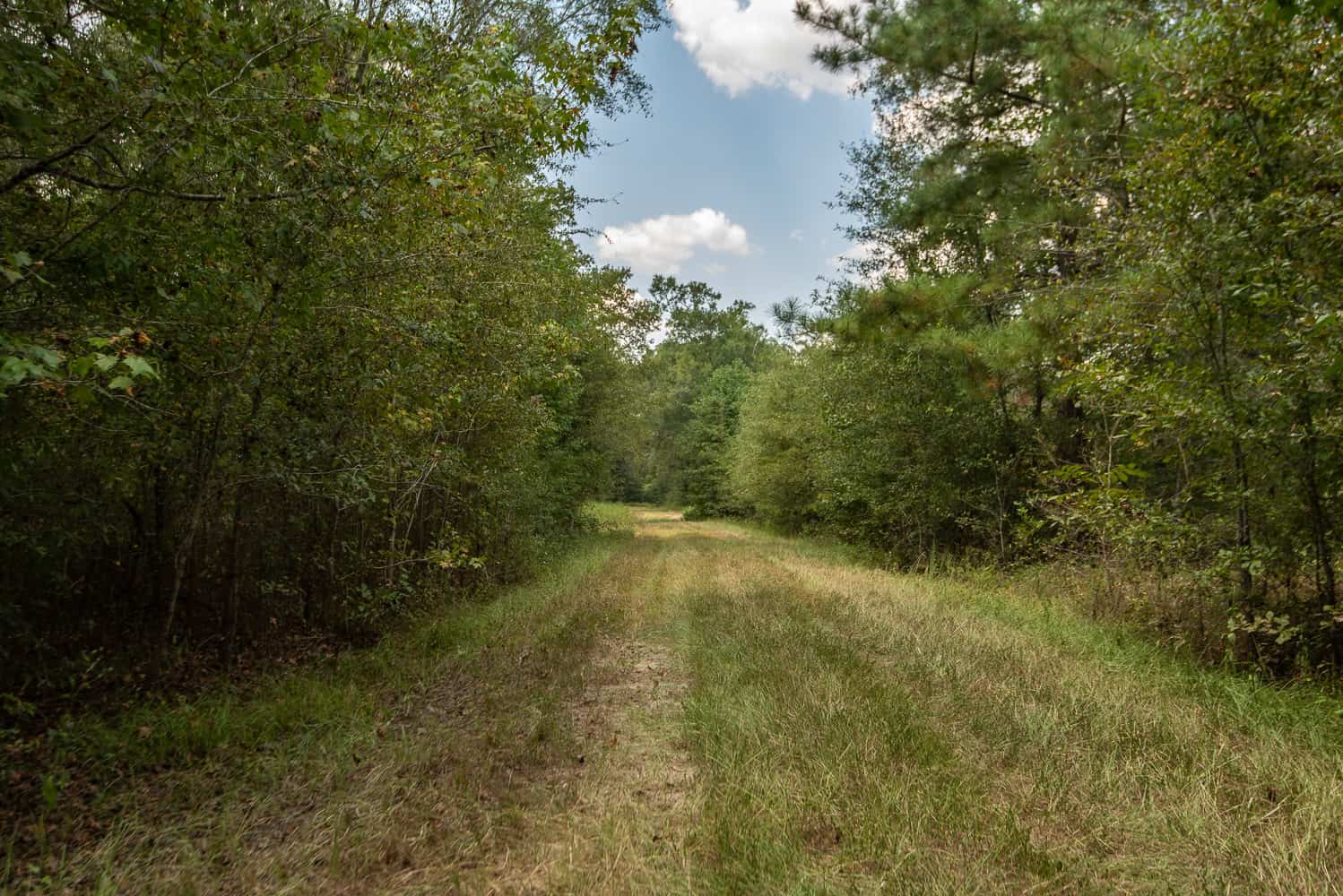 863-Acre Hunting Ranch on the Sabine River near Big Sandy TX