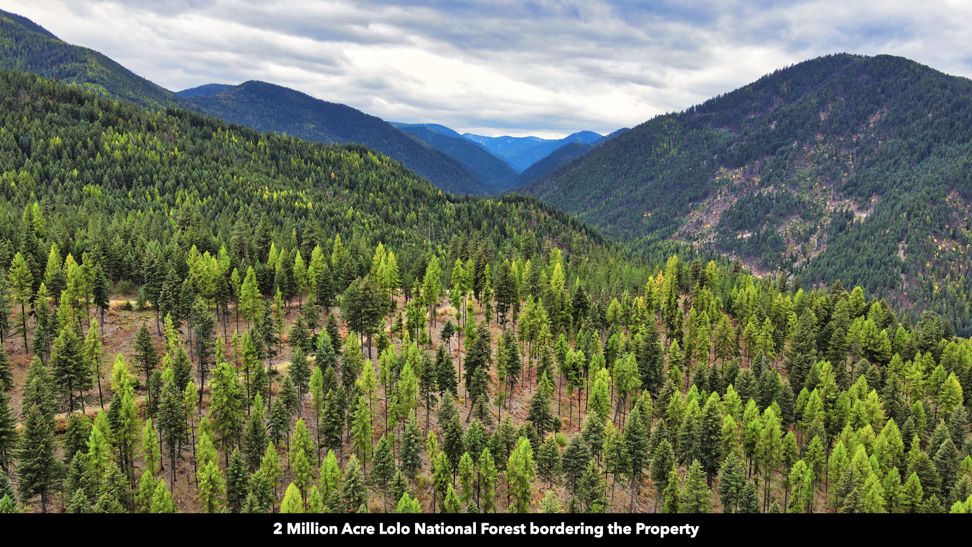 Riverfront Acreage For Sale in St. Regis, Montana