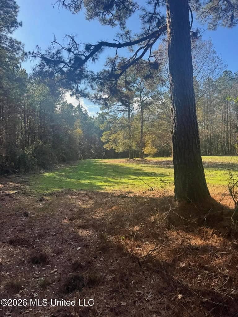 South Mississippi Hunting Land for Sale in Walthall County
