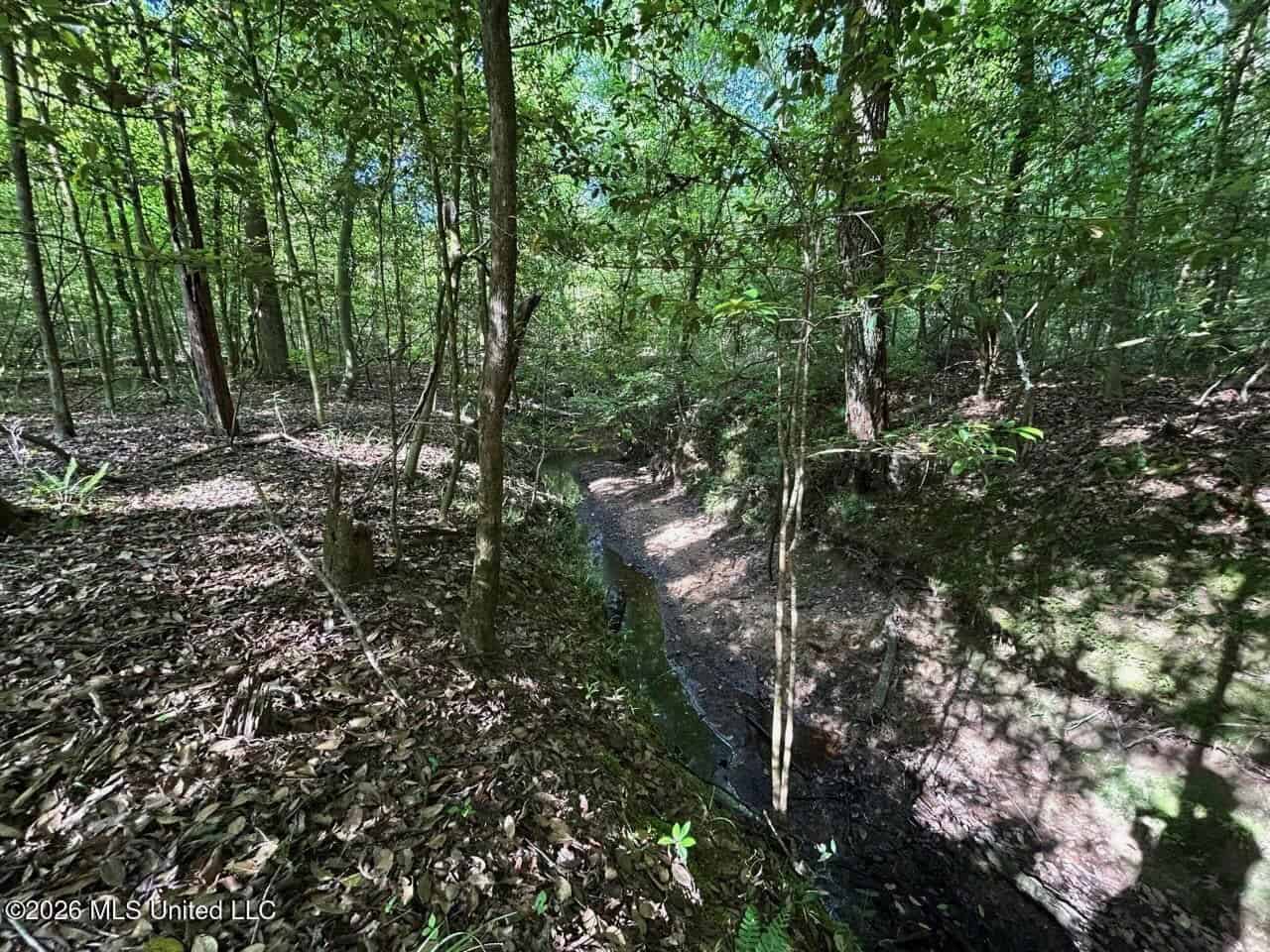 46 Acres in St. Helena Parish, LA Hunting Property for Sale
