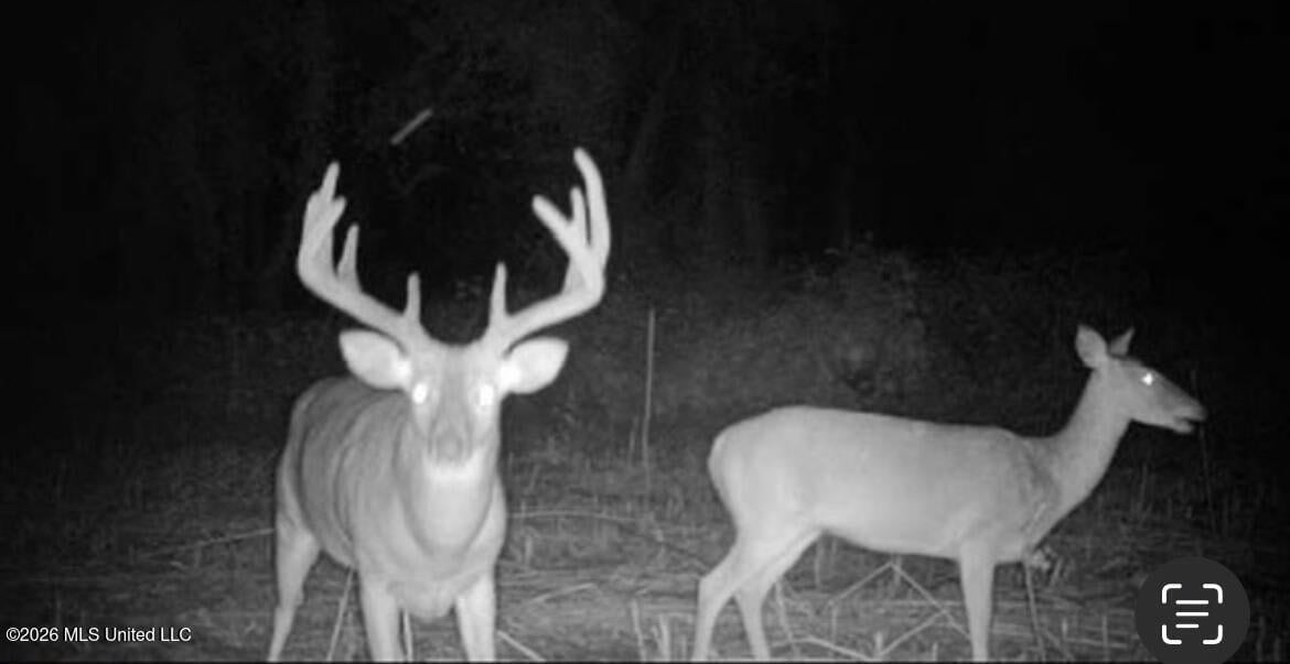 Duckport Legacy Waterfowl and Whitetail Recreational Tract