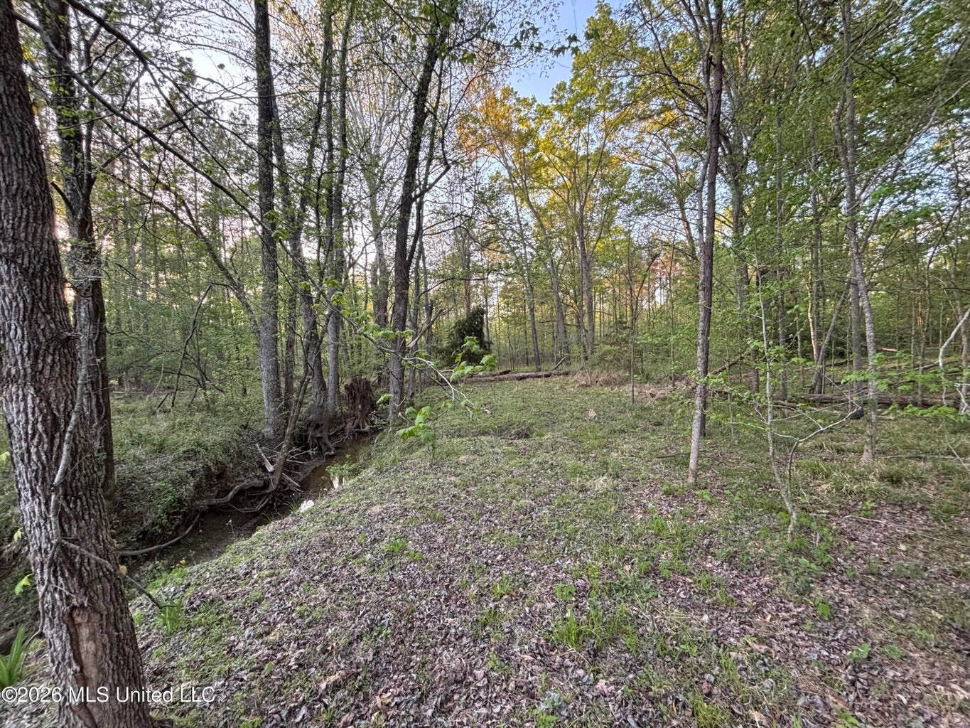 77 Acres in Edwards, MS Hinds County Big Black River Region
