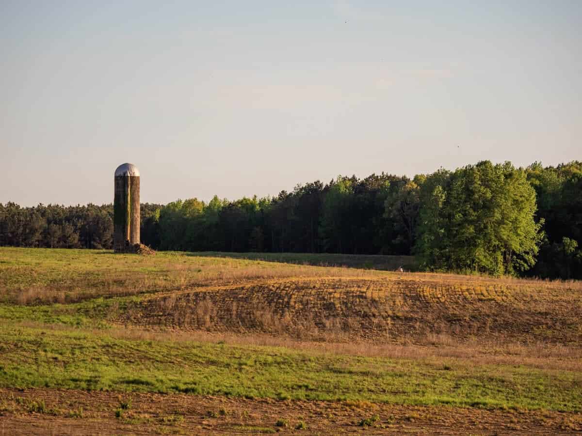 455 Acres Hunting & Income Land in Choctaw County MS