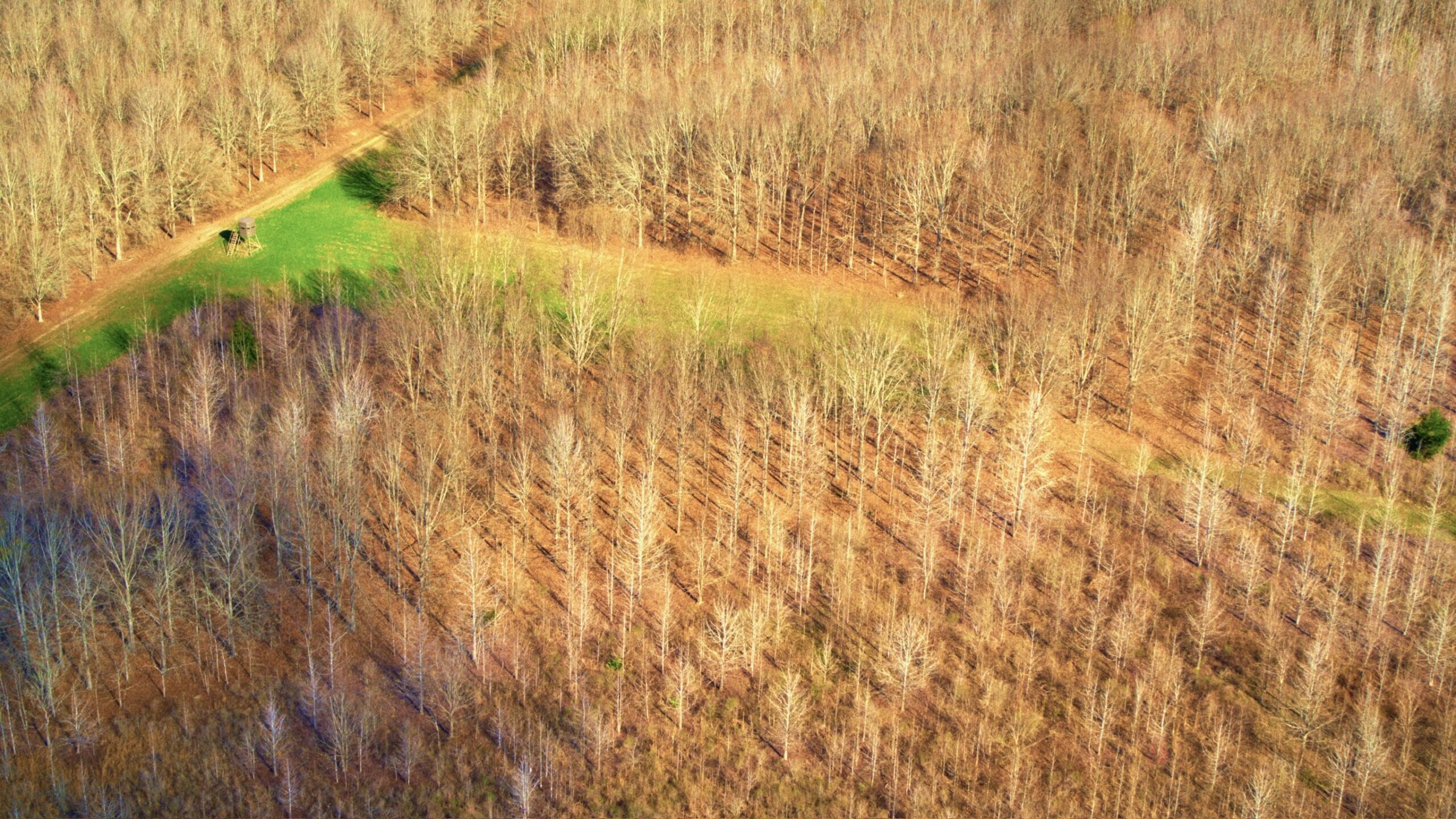 330+/- Acre Deer and Duck Hunting Property with a Camp