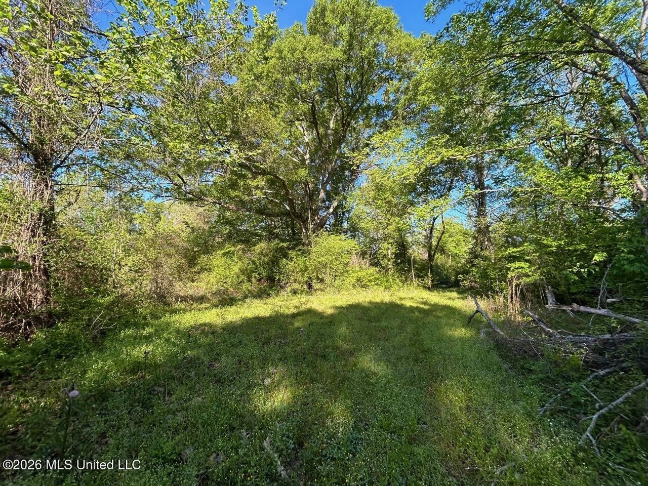 266± Acres Hinds/Copiah Line with Creek and Income