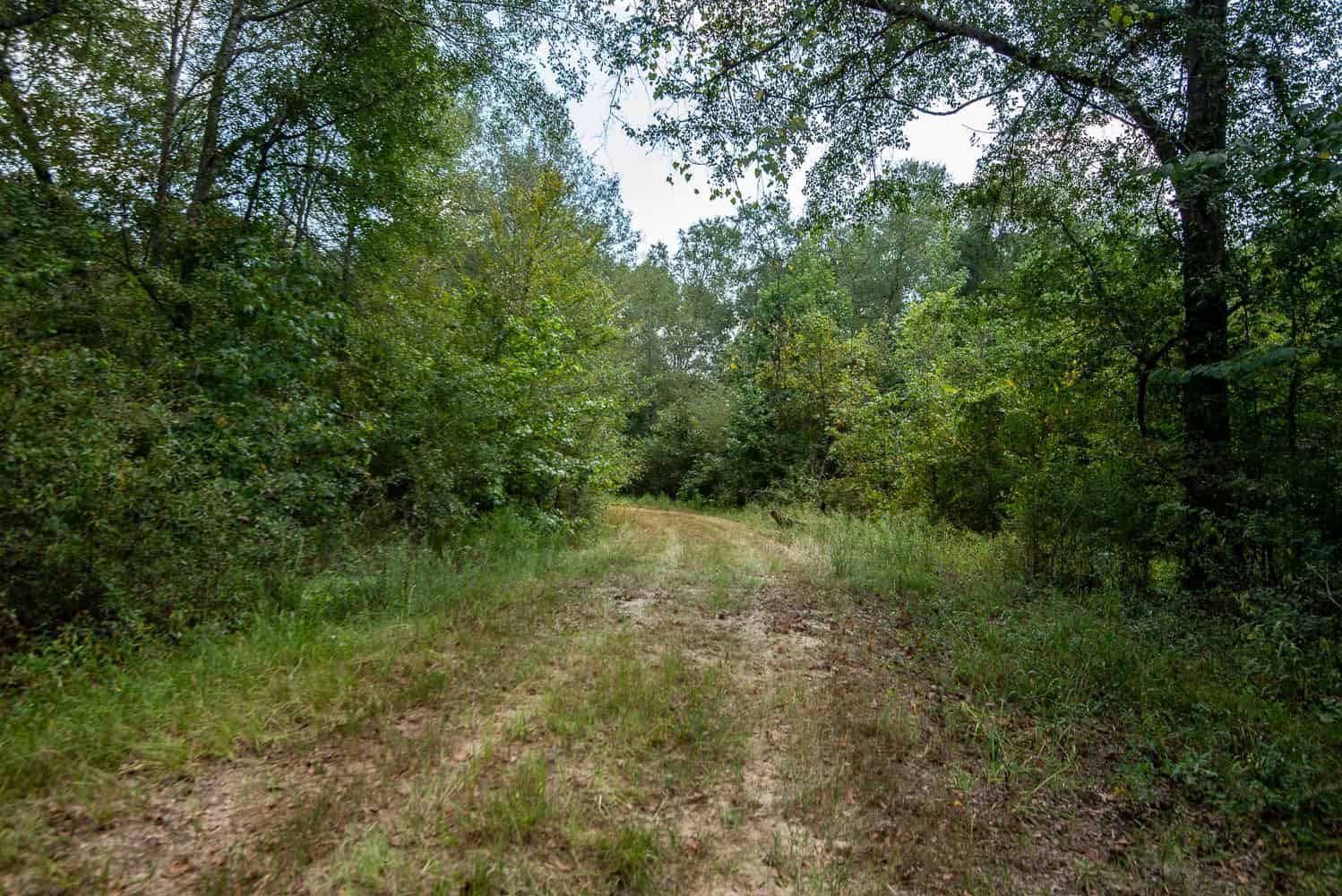 863-Acre Hunting Ranch on the Sabine River near Big Sandy TX