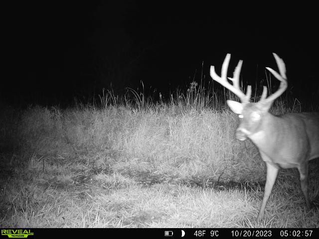 44± Acre Premier Duck and Deer Hunting Property Marquette Cty WI