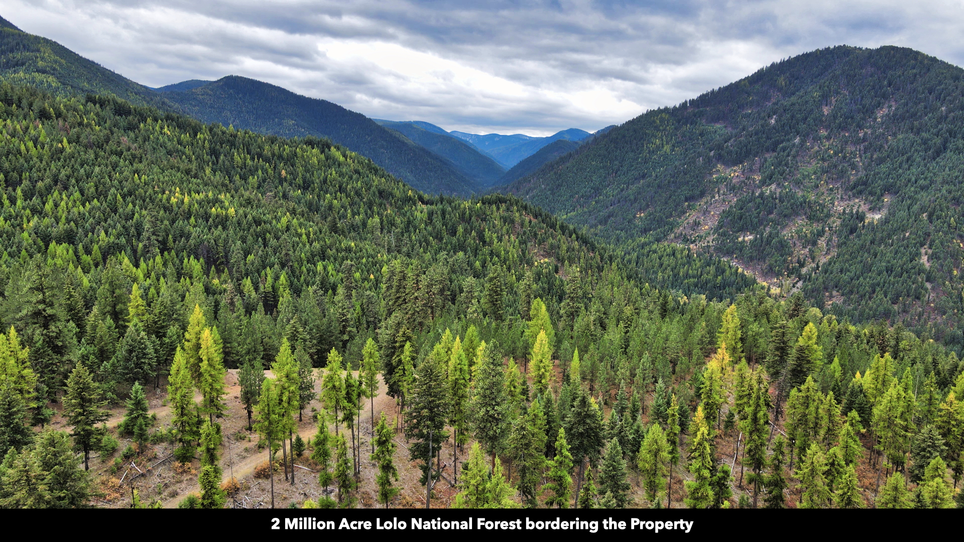 Riverfront Acreage For Sale in St. Regis, Montana