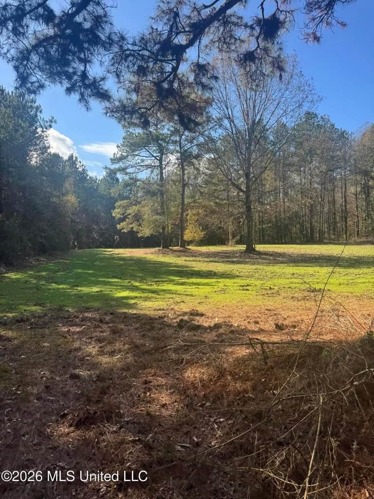 South Mississippi Hunting Land for Sale in Walthall County