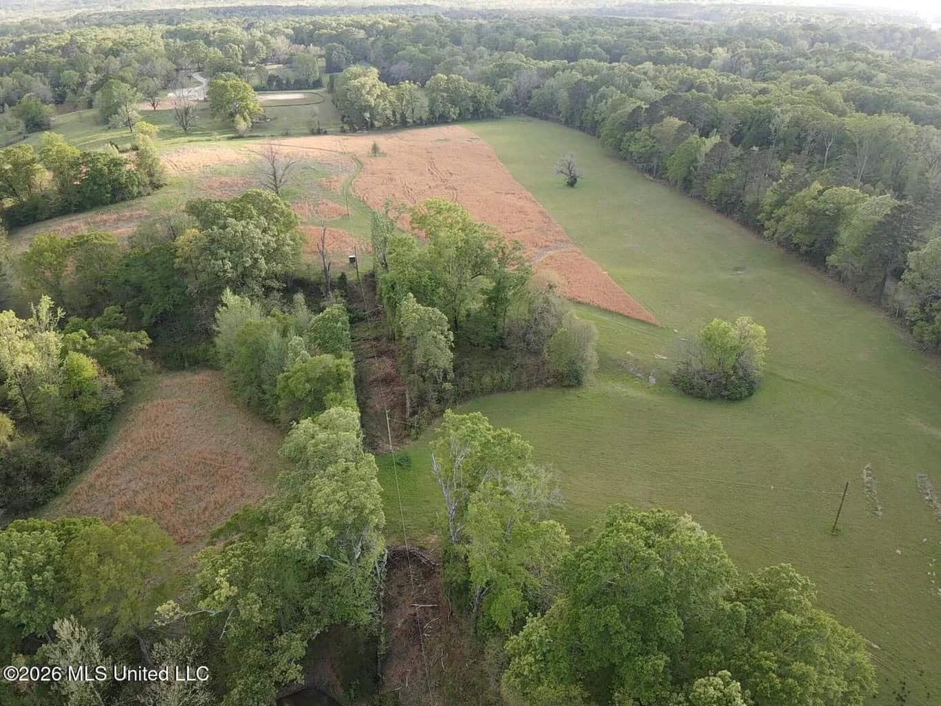 77 Acres in Edwards, MS Hinds County Big Black River Region