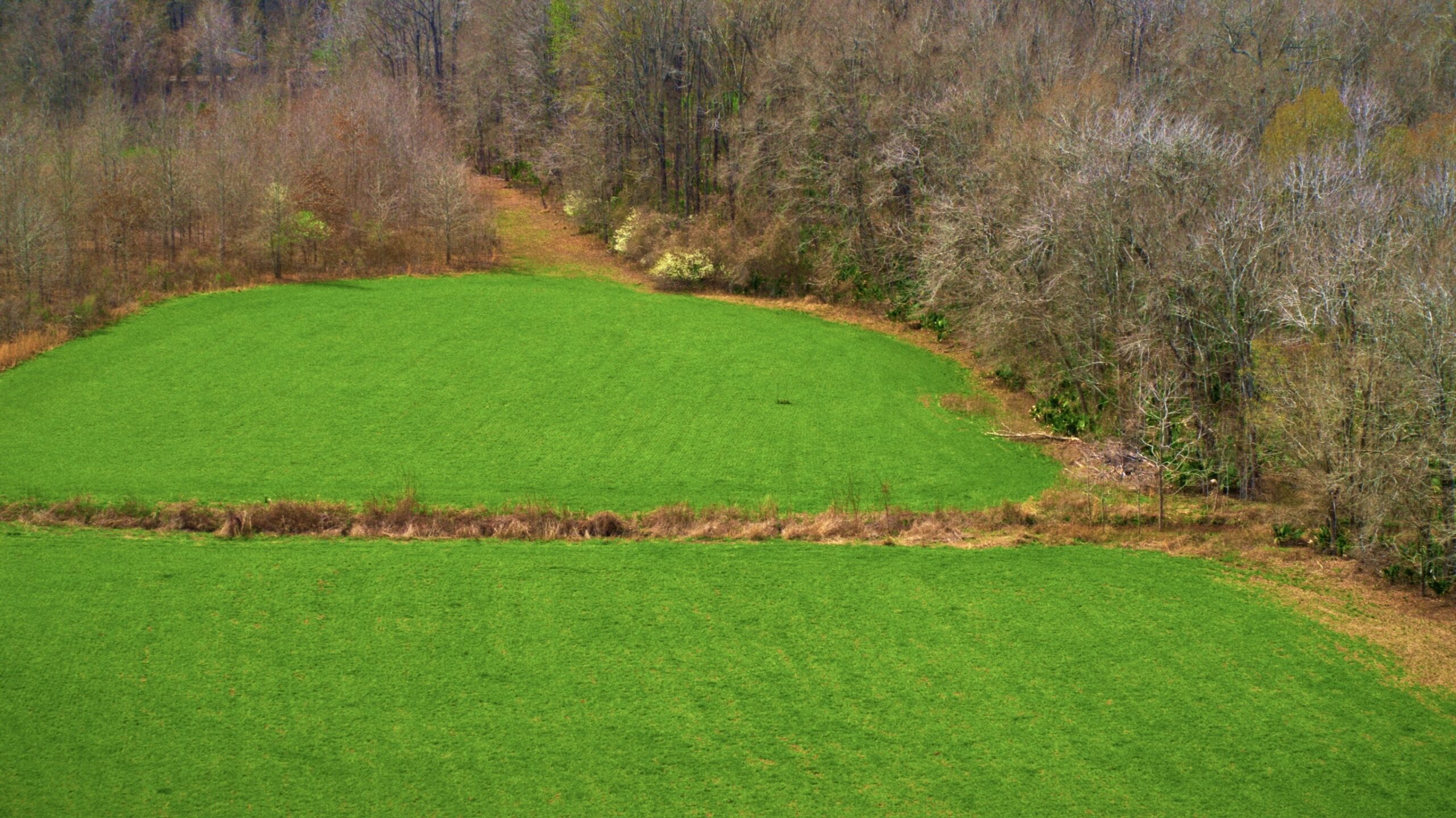 1,196+/- Acre Deer & Duck Hunting Paradise Tensas Parish, LA