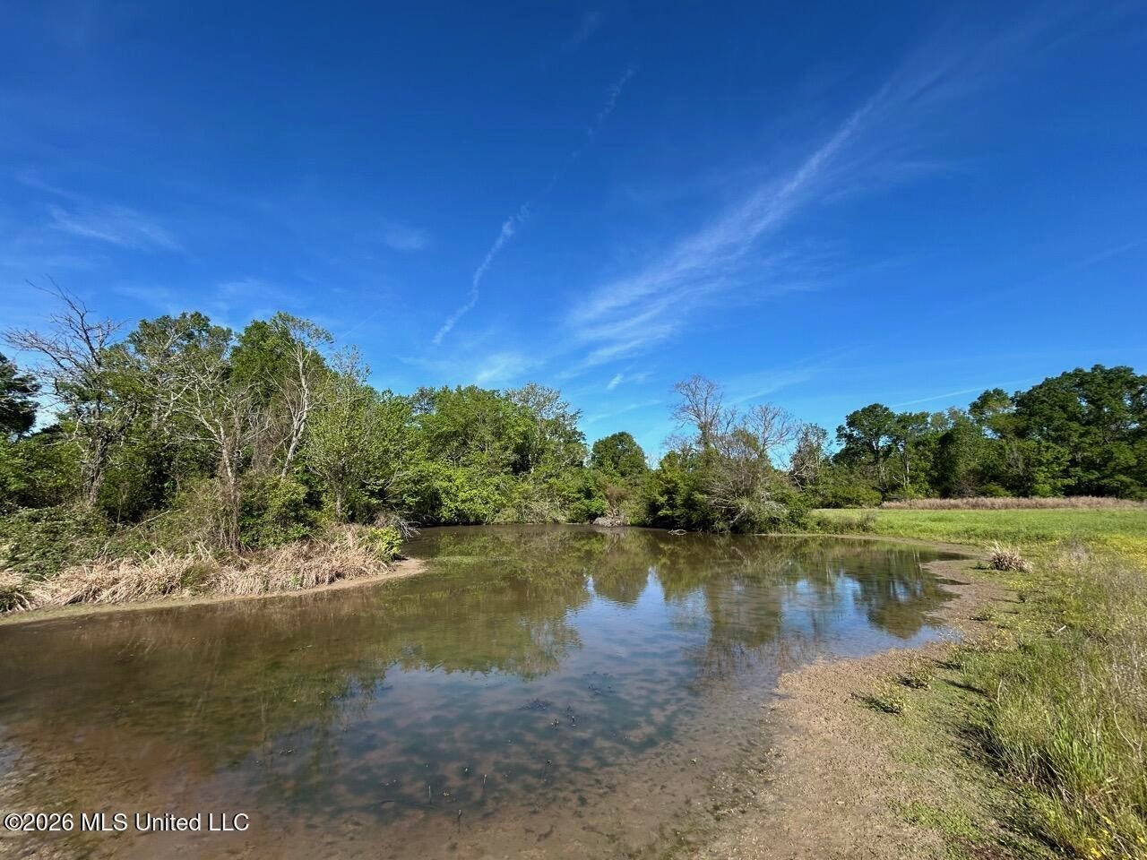 266± Acres Hinds/Copiah Line with Creek and Income