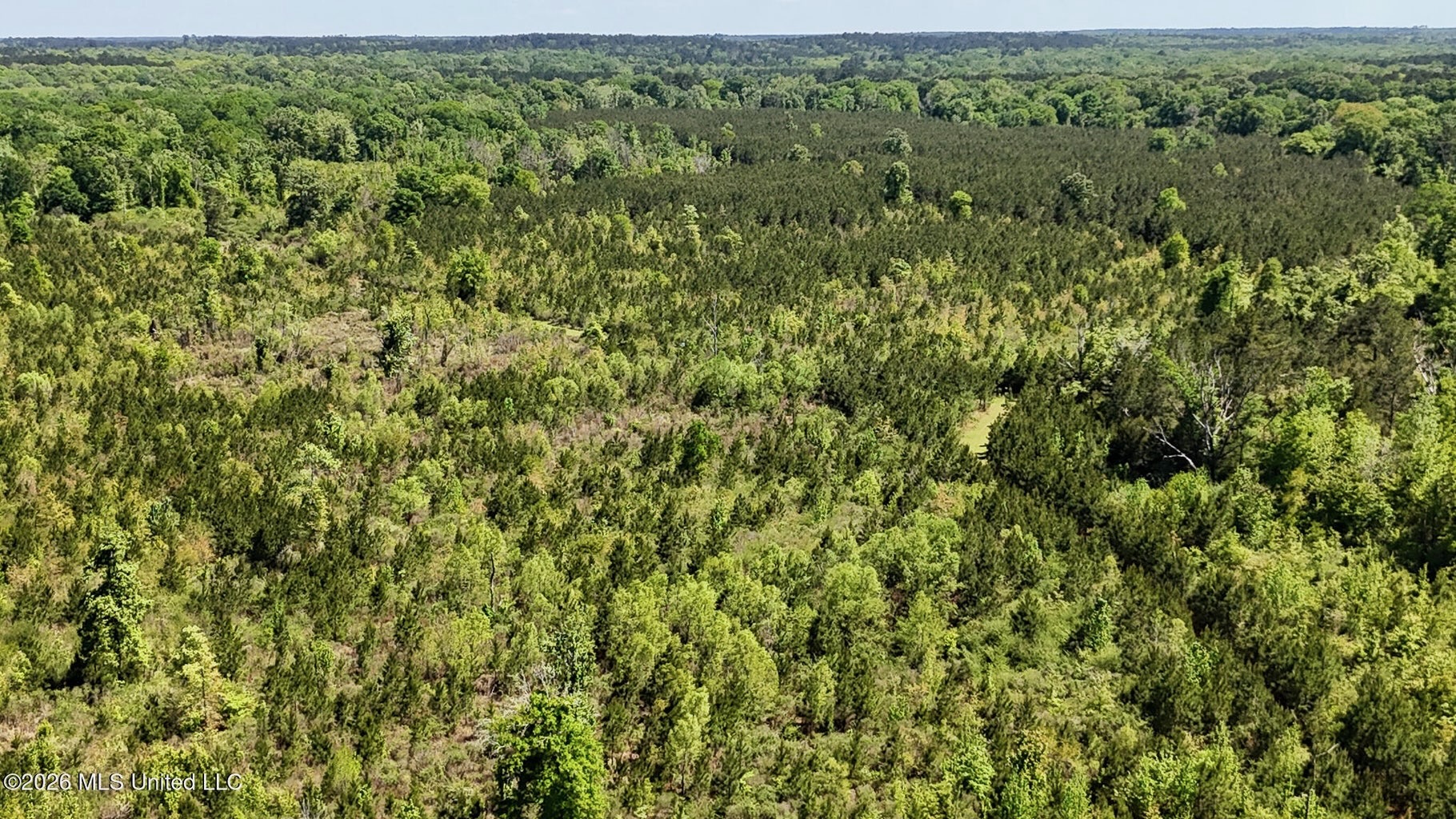 Hunting and Recreational Land for Sale in Amite County, Miss