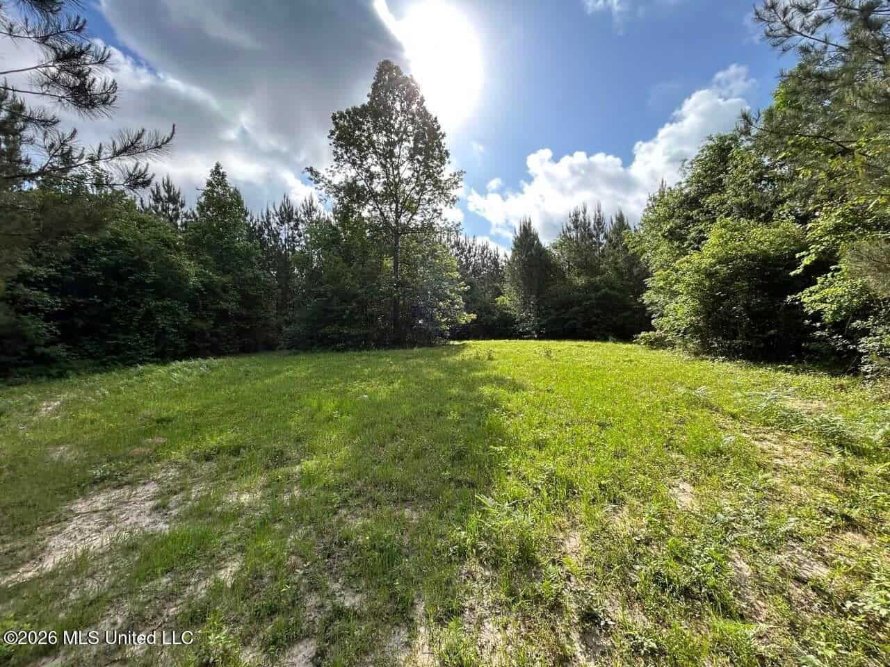 46 Acres in St. Helena Parish, LA Hunting Property for Sale